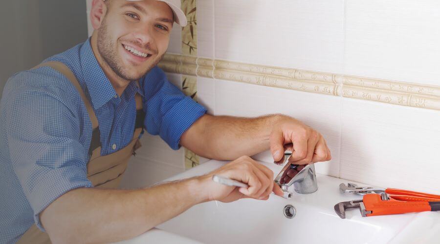 Professional Leak Detection Services services in Mountain, WI
